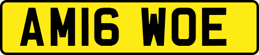 AM16WOE