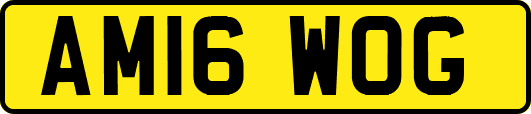 AM16WOG