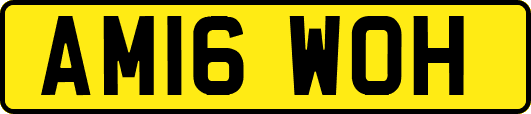 AM16WOH