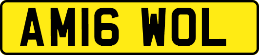 AM16WOL