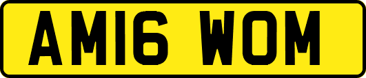AM16WOM
