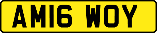 AM16WOY