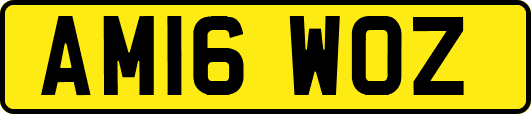 AM16WOZ