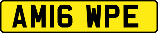 AM16WPE