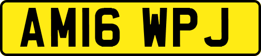 AM16WPJ