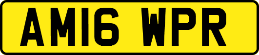 AM16WPR