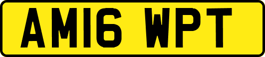 AM16WPT