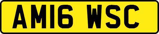 AM16WSC