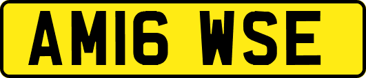 AM16WSE