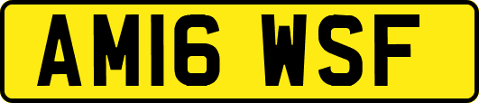 AM16WSF