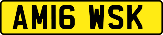 AM16WSK