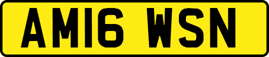 AM16WSN