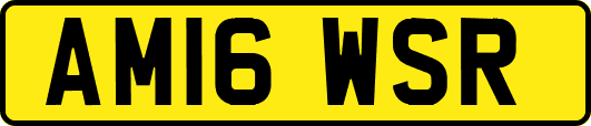 AM16WSR