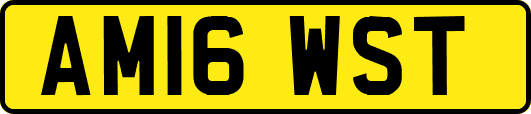 AM16WST