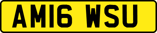 AM16WSU