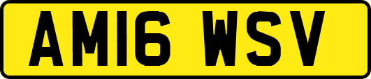 AM16WSV