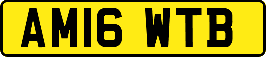AM16WTB