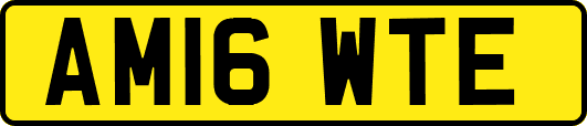 AM16WTE