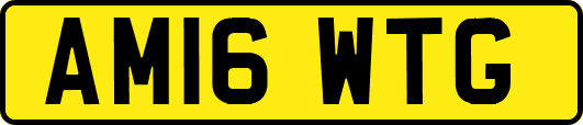 AM16WTG