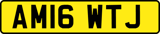 AM16WTJ