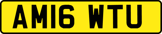 AM16WTU