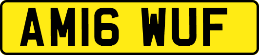 AM16WUF