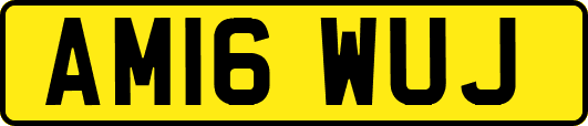 AM16WUJ