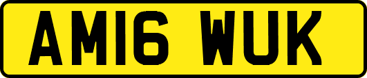 AM16WUK
