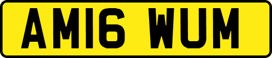 AM16WUM
