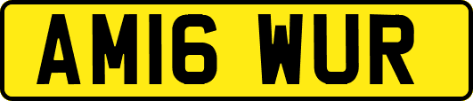 AM16WUR