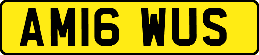 AM16WUS