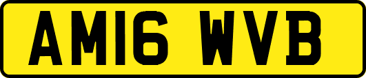 AM16WVB