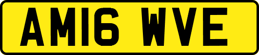 AM16WVE