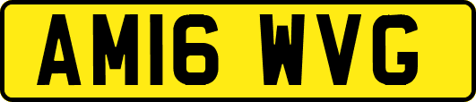 AM16WVG