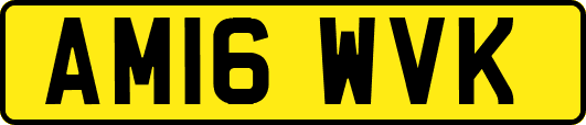 AM16WVK
