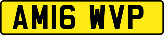 AM16WVP