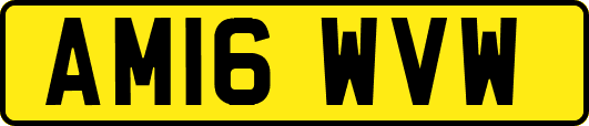 AM16WVW