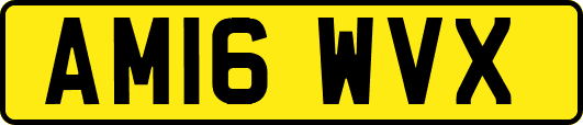 AM16WVX