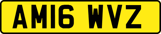 AM16WVZ