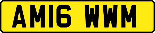AM16WWM