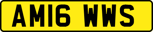 AM16WWS
