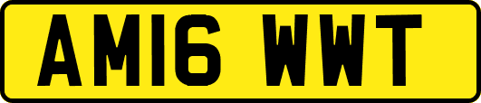 AM16WWT