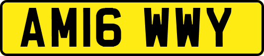 AM16WWY