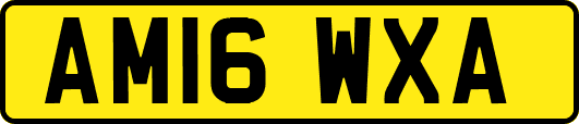 AM16WXA