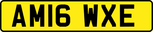 AM16WXE