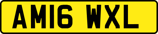 AM16WXL