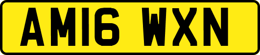 AM16WXN