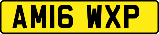 AM16WXP