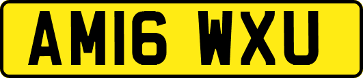 AM16WXU