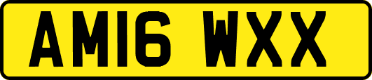 AM16WXX